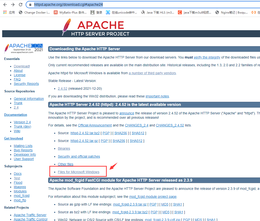 apache
